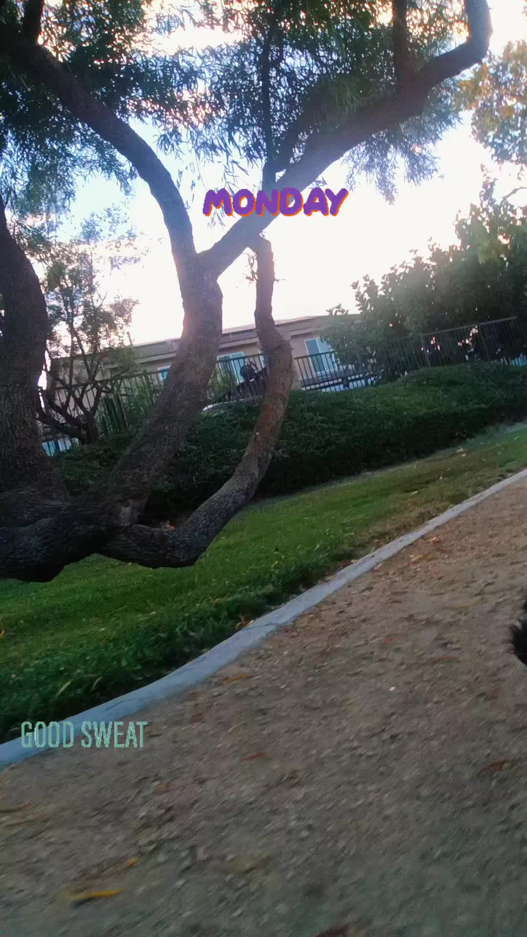 @🦋elsieroman25🦋