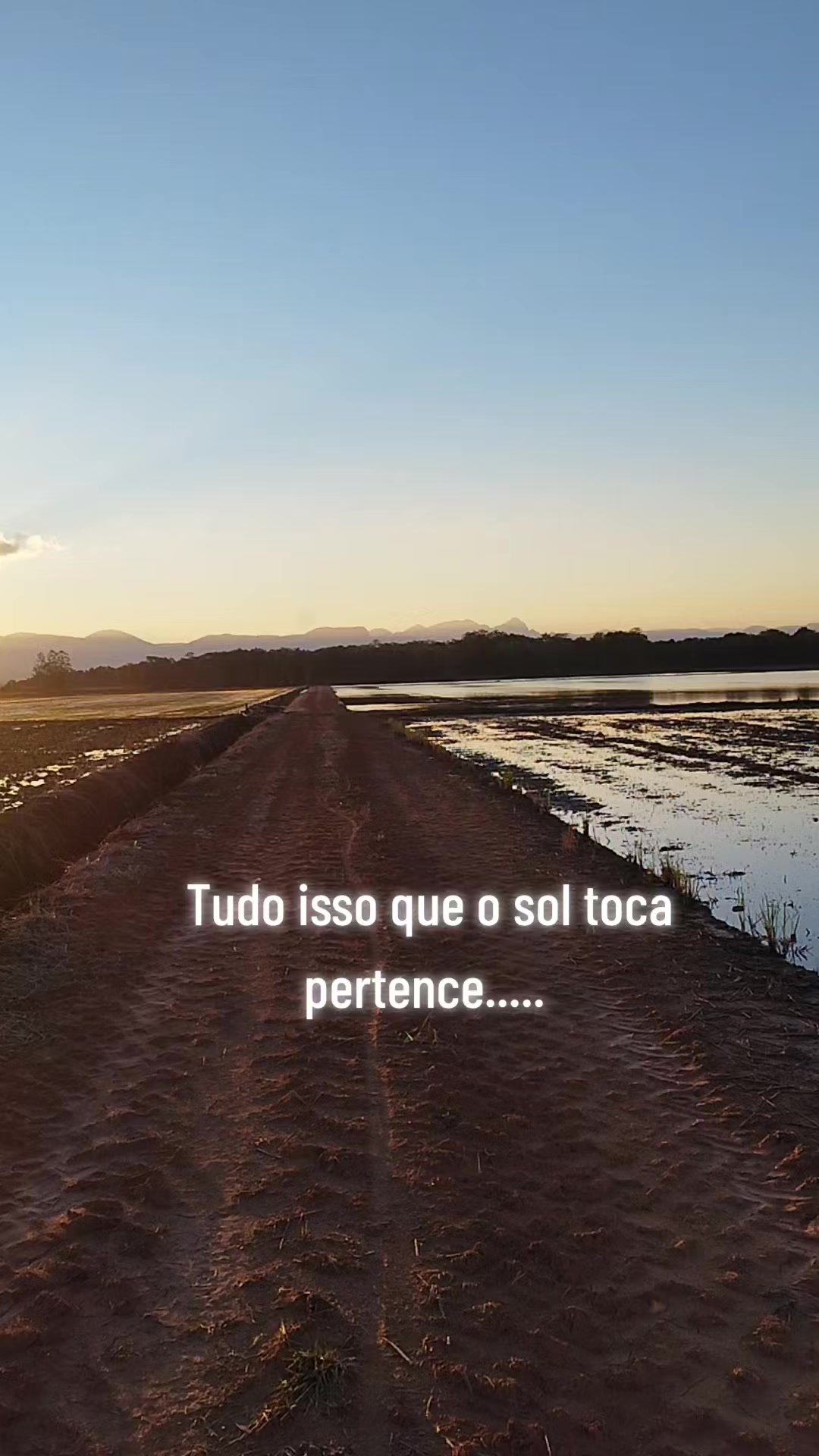 @Se Tu Bora Eu Boro 🛻