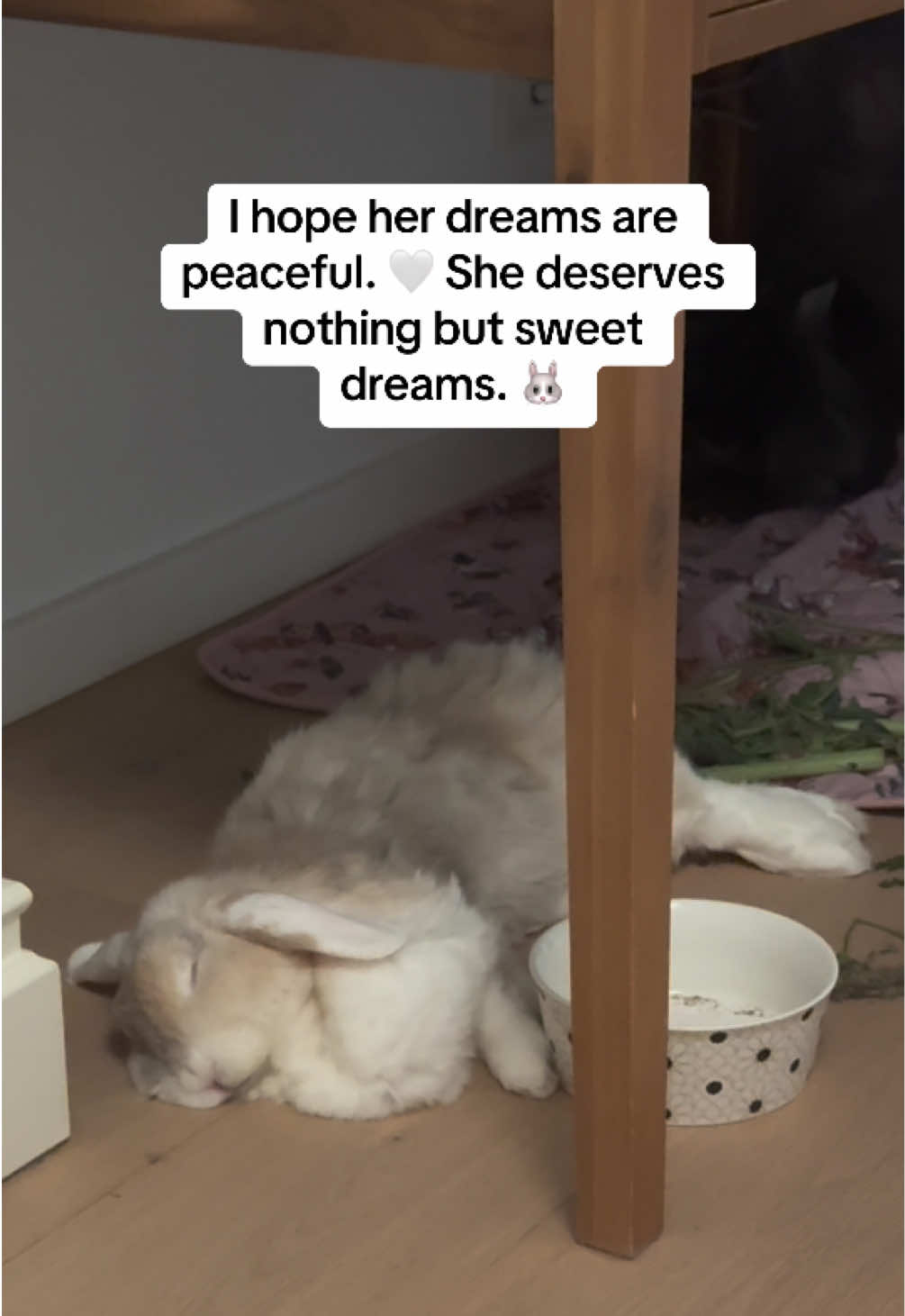 @Buns 🐰🐰