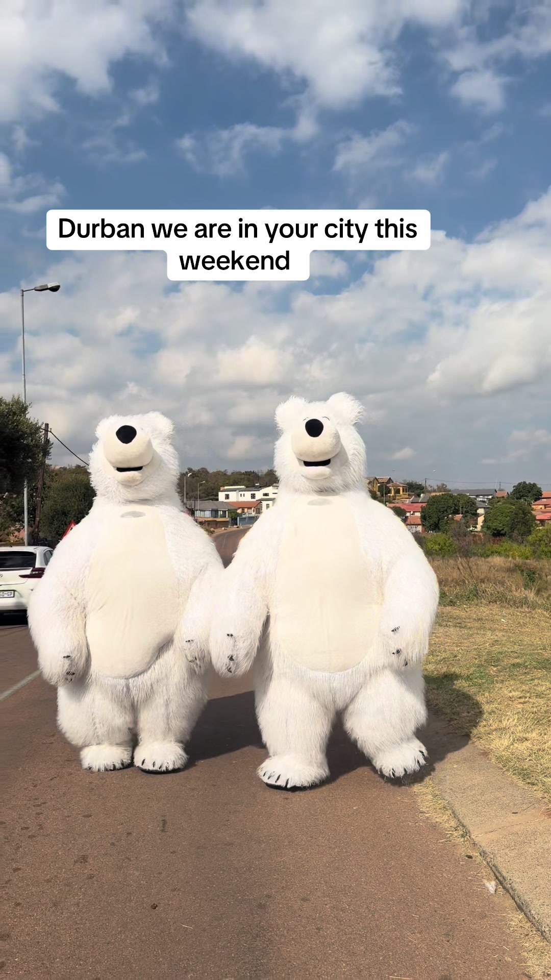 @dancingmascotssa