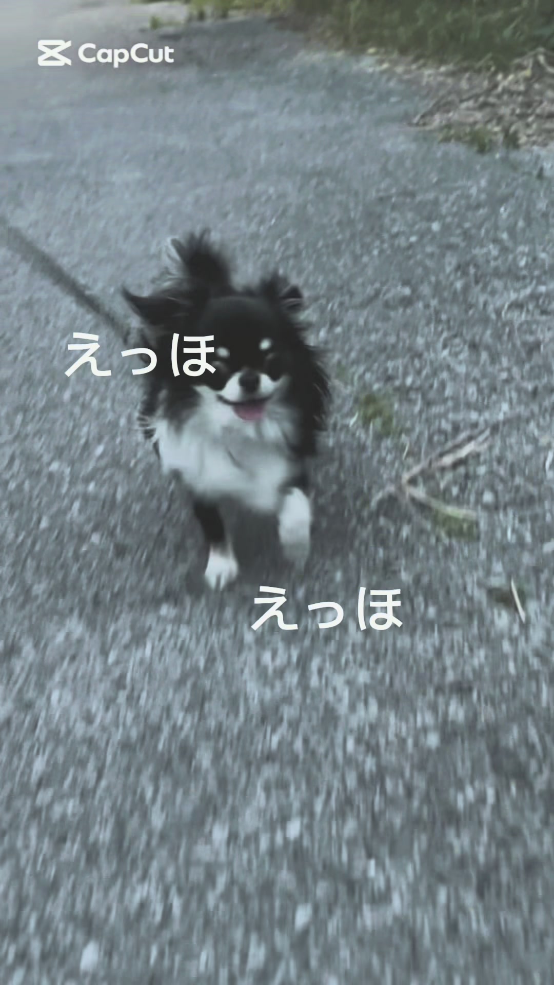 @ayakosansan3