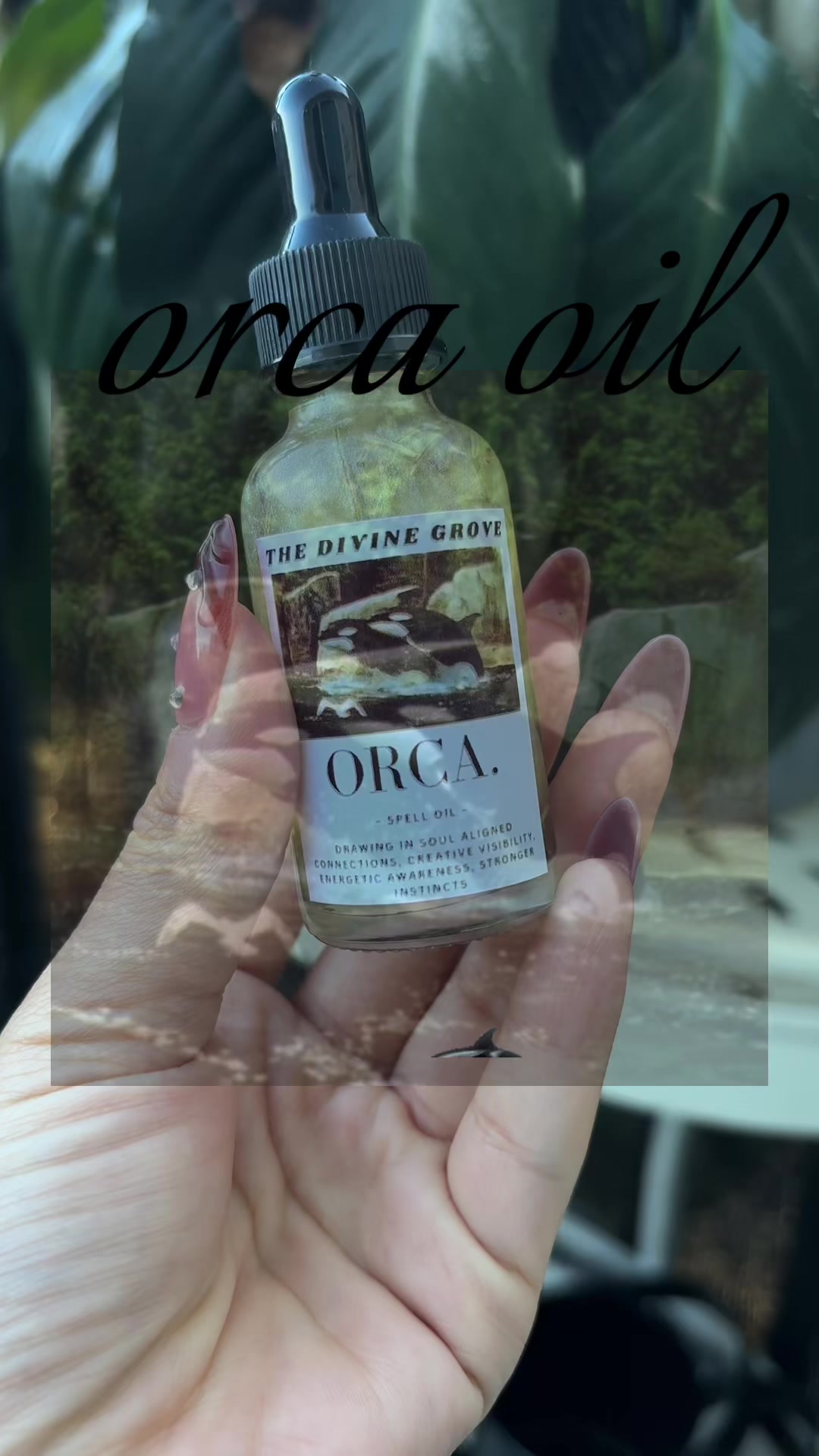 @𝑻𝒉𝒆 𝑫𝒊𝒗𝒊𝒏𝒆 𝑮𝒓𝒐𝒗𝒆