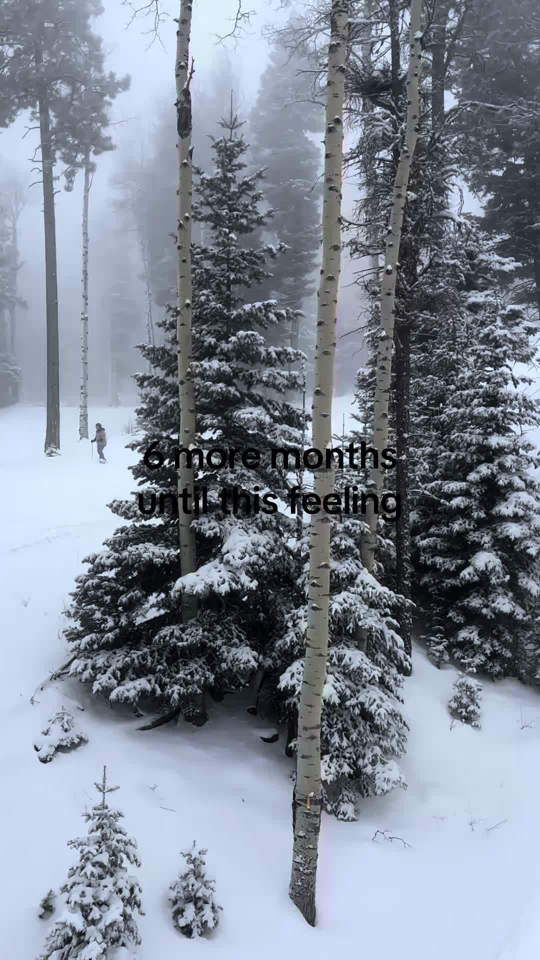 @neverslumped