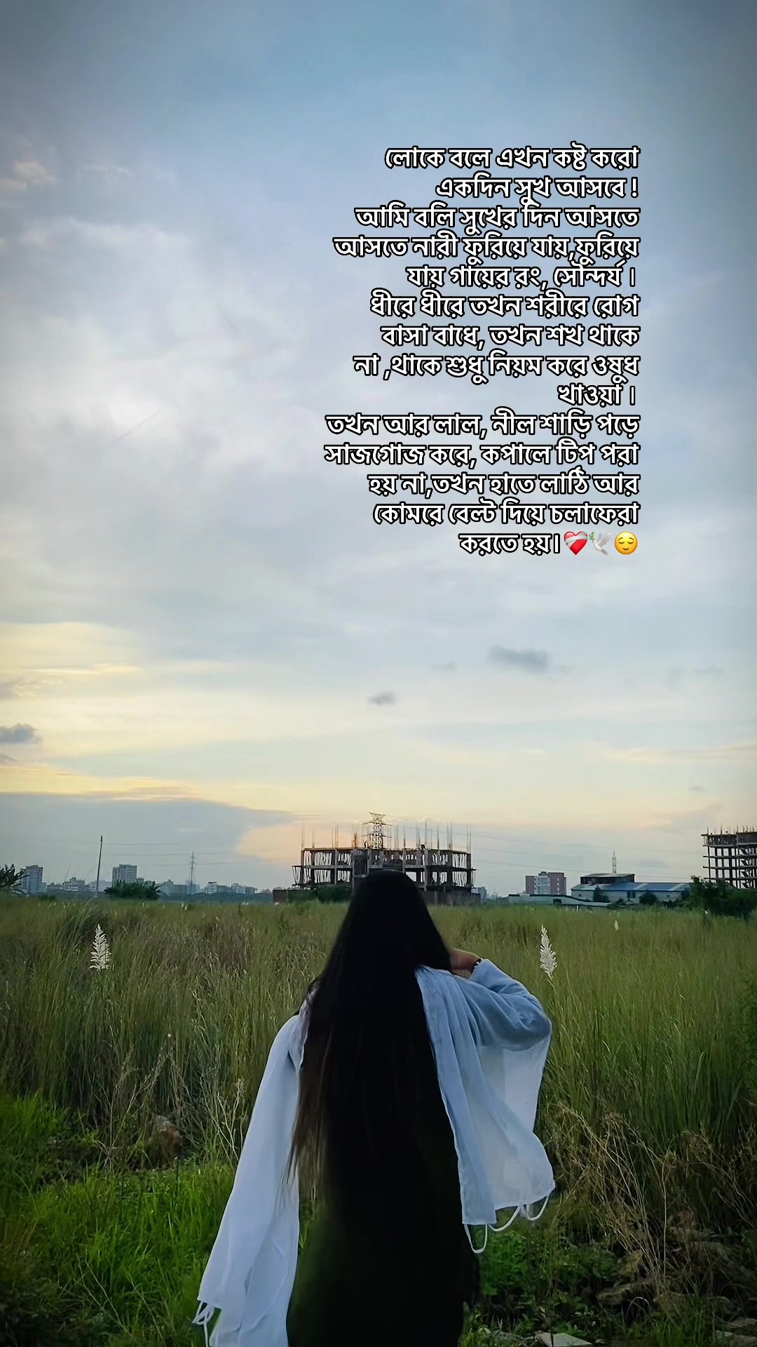 @đĻ Dola đĻ