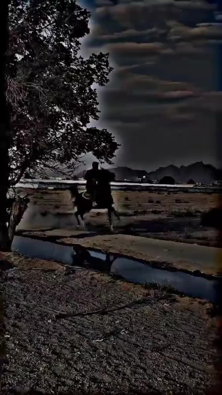 @⫸𝙈𝙞𝙍𝙯𝘼✫𝙎𝙖𝙍𝙆𝙖𝙍✫⫷