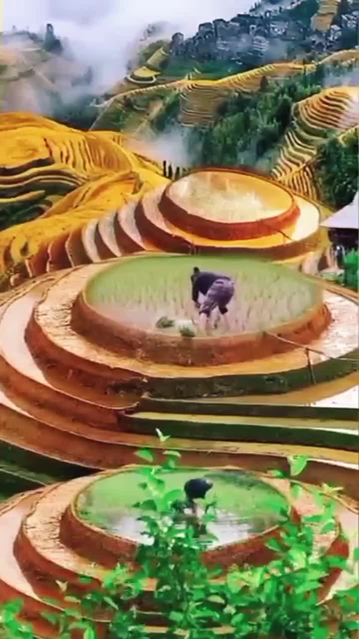 @fb9fb9164238