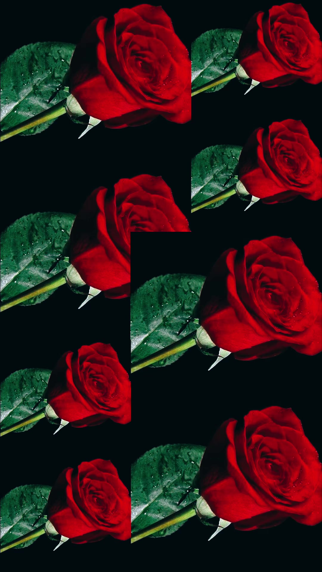 @Yane🍓
