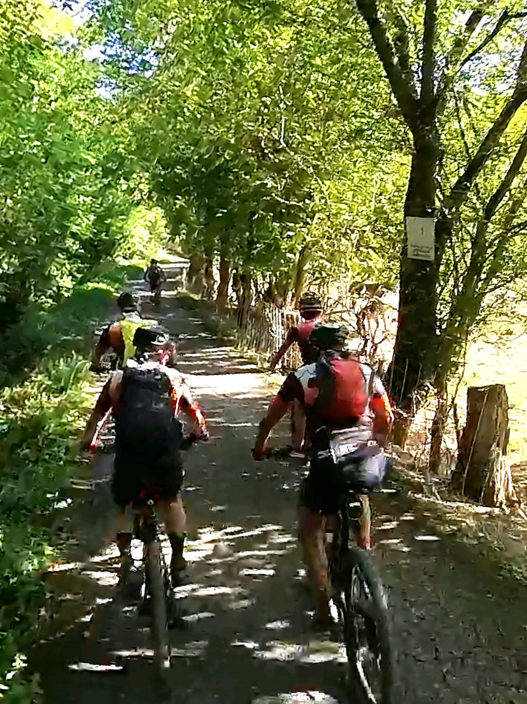 @EBIKE ALBIKE18