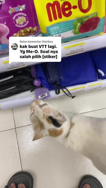 @T i m m y