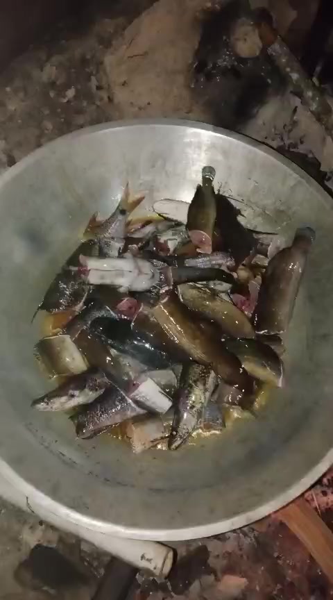 @红玫瑰memey