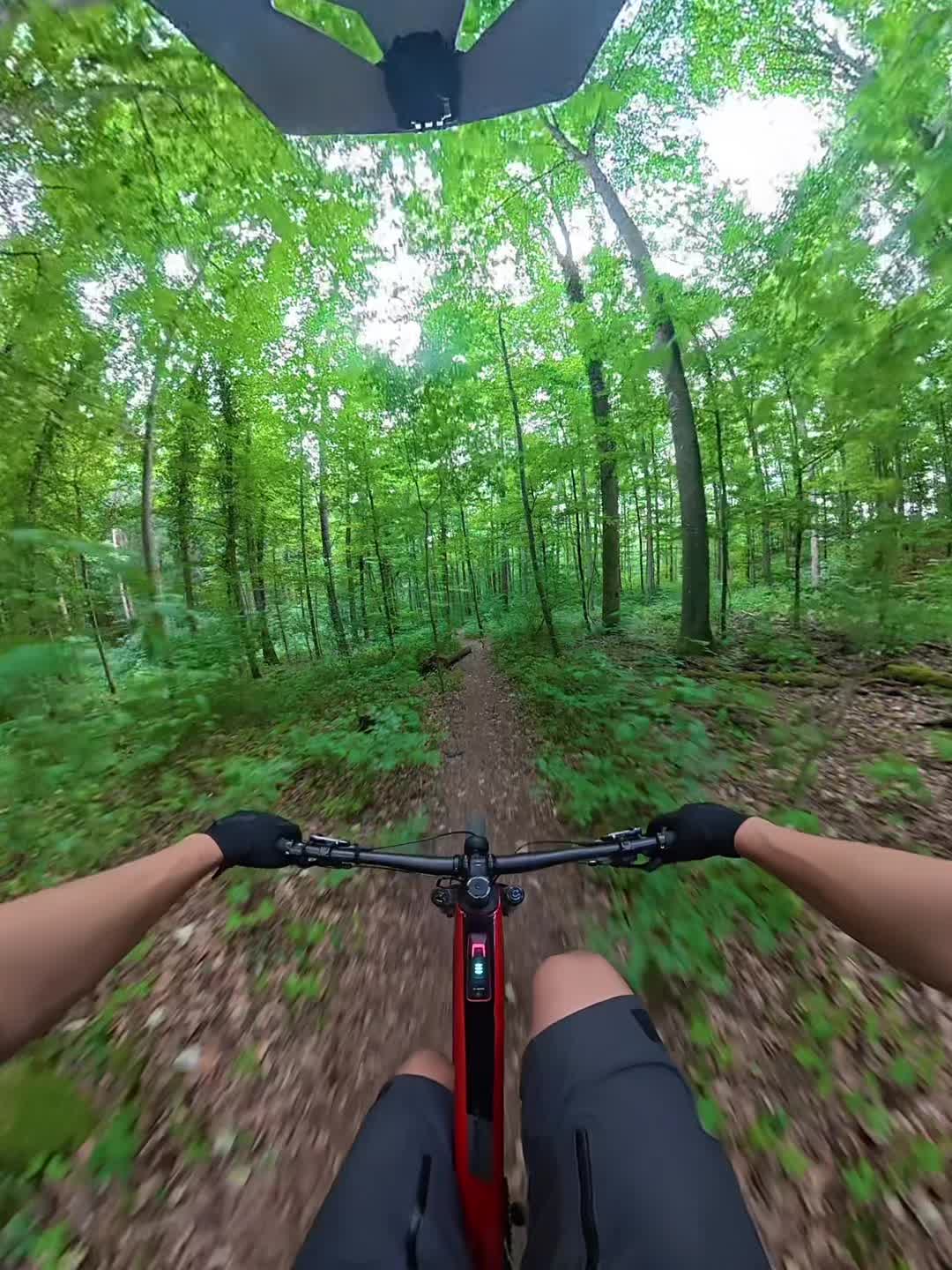 @Luca.mtb🇩🇪🦅✝️