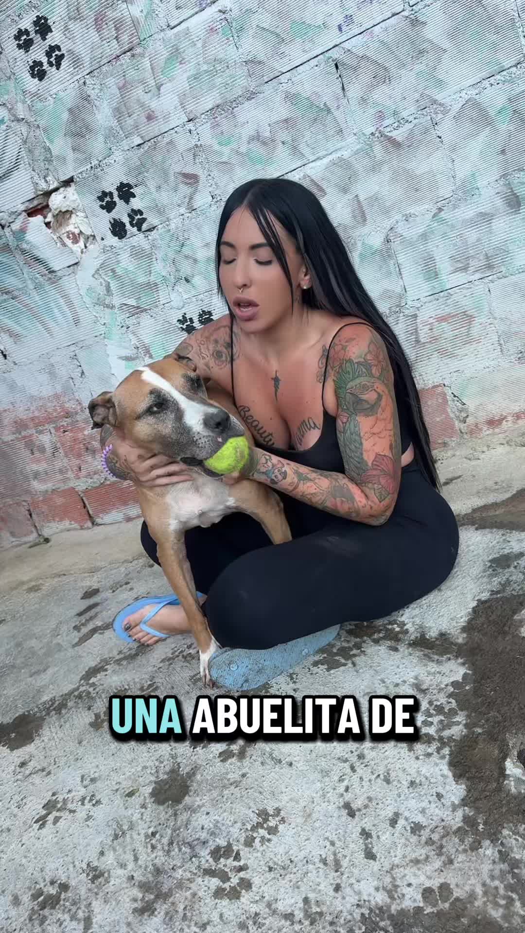 @refugiogranada39