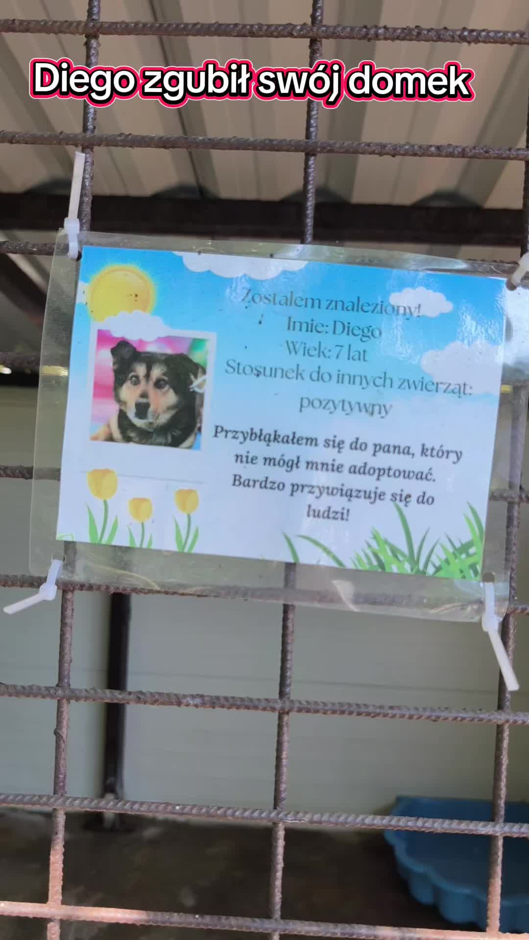 @Bezdomniaki_ze_śląska