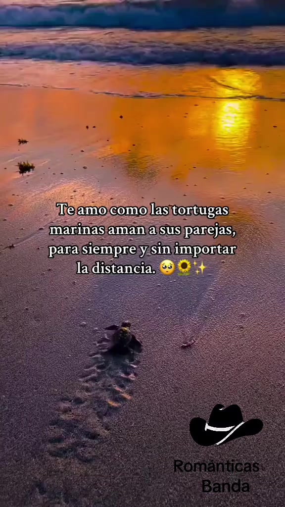 @Románticas Banda