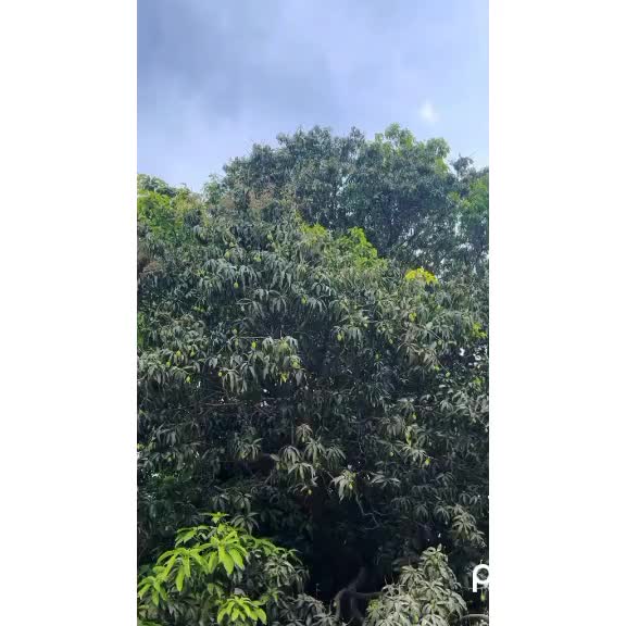 @🦋⍣⃝AℓᎥ rͥazͣaͫ 𝐏ʍ𝓁ꫜ 🥵❤️&zwj;🔥