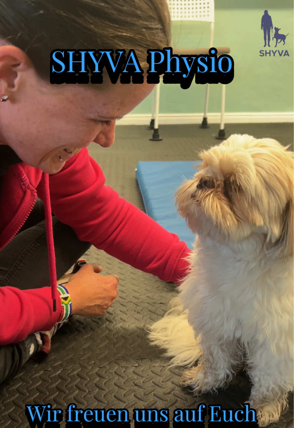 @Shyva Hundezentrum