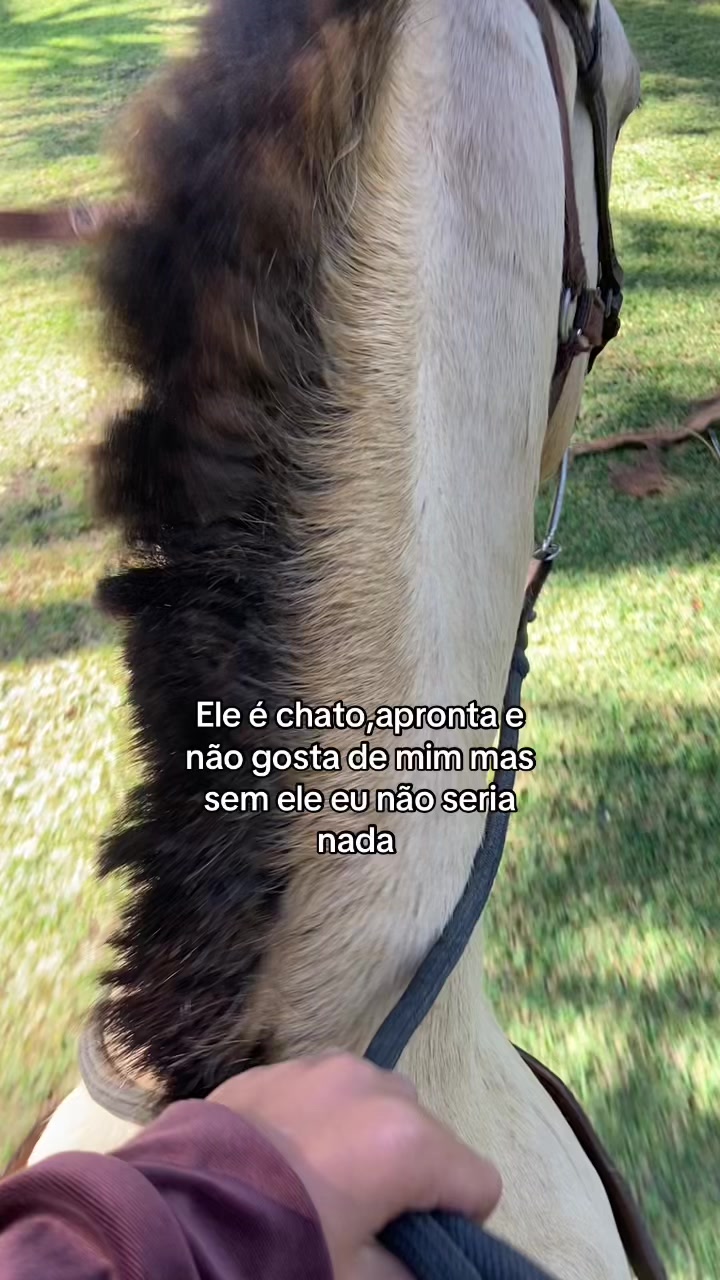 @Pᥱ́r᥆ᥣᥲ ᥱ ᥴᥲ&rho;&iota;tᥲ̃᥆
