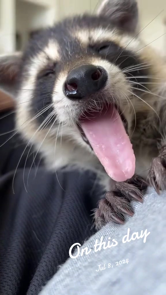 @Cats&Coons