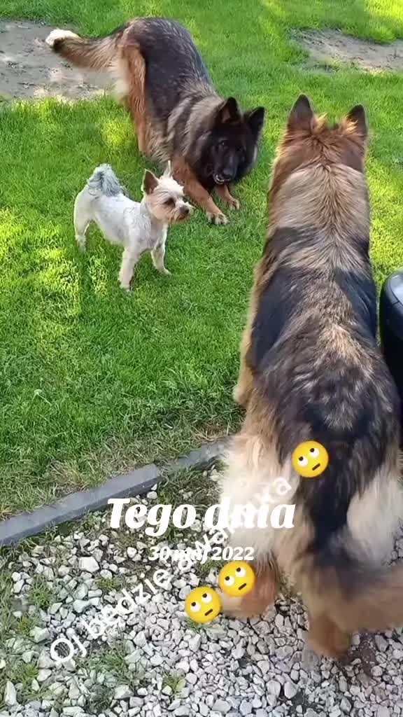 @Jadźka555🙈🙈🙈