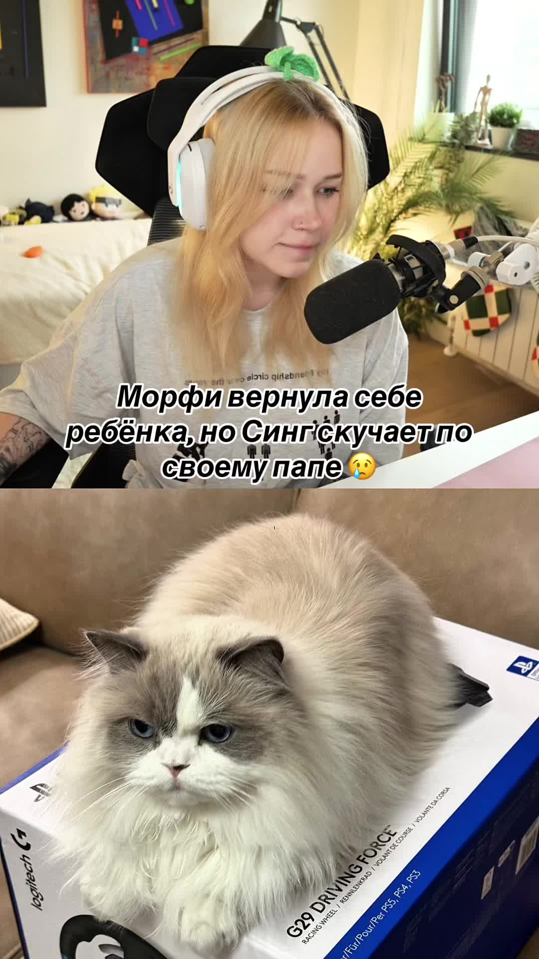 @rezchik_twicha