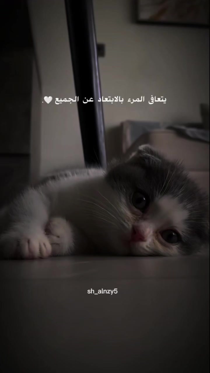 @شامان العنزي