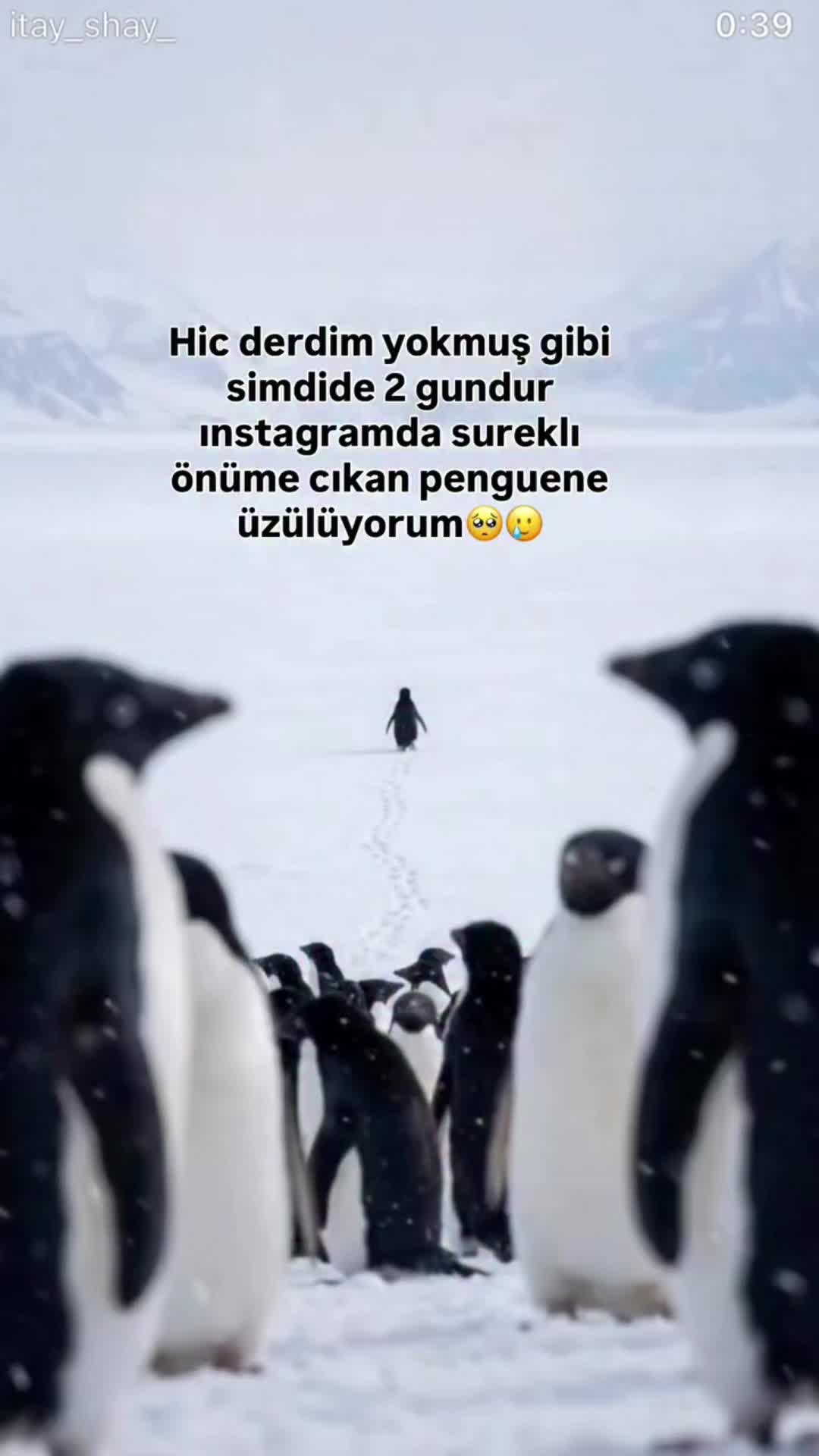 @Metines- Gazeteci -Journalist