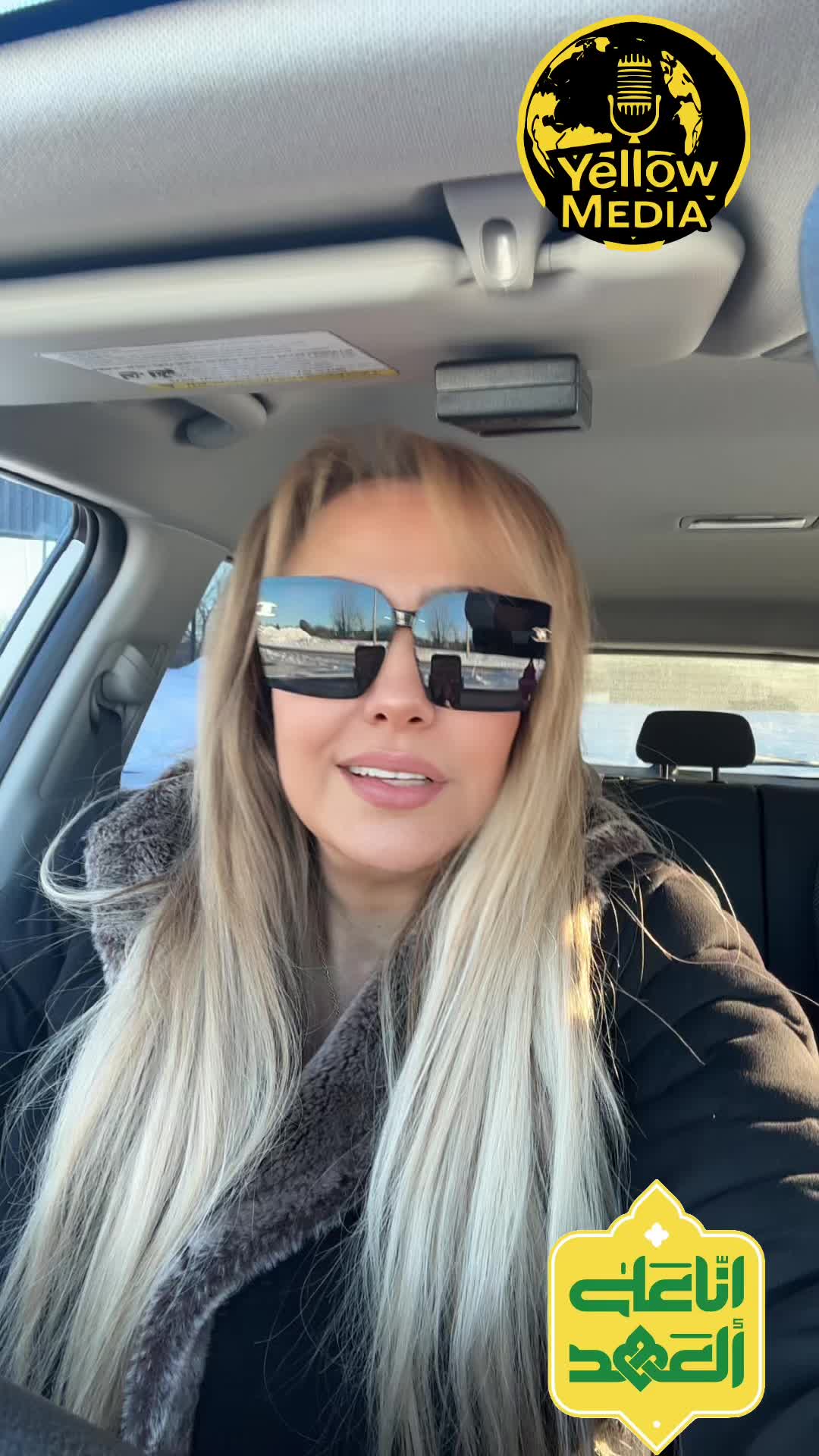 @shirazo313