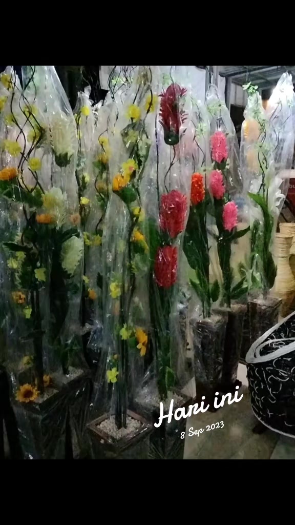 @Syaifah_Rattan56