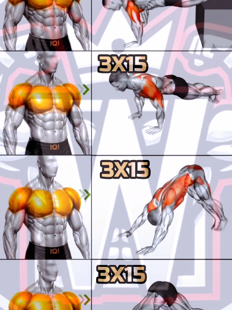 @Workout