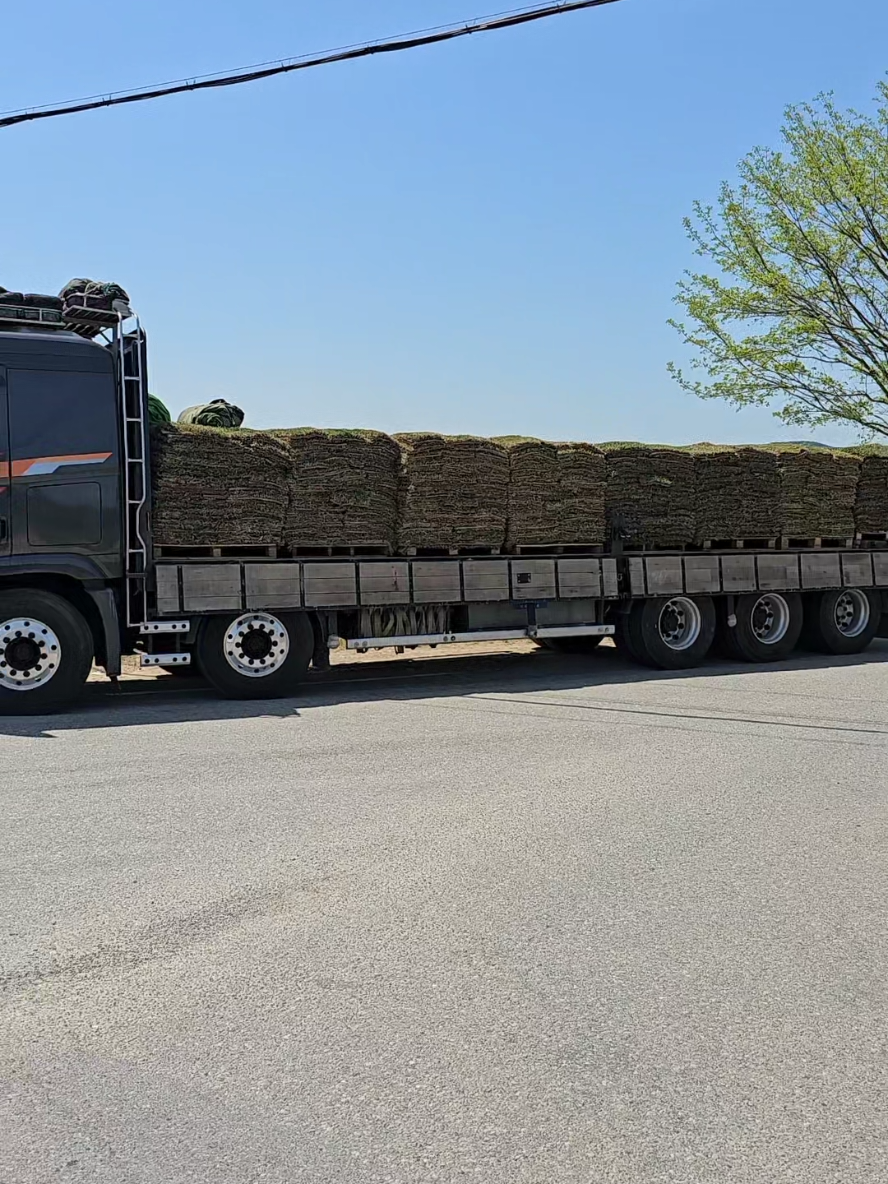 @트럭커보이 동하이🚛🇰🇷🚚
