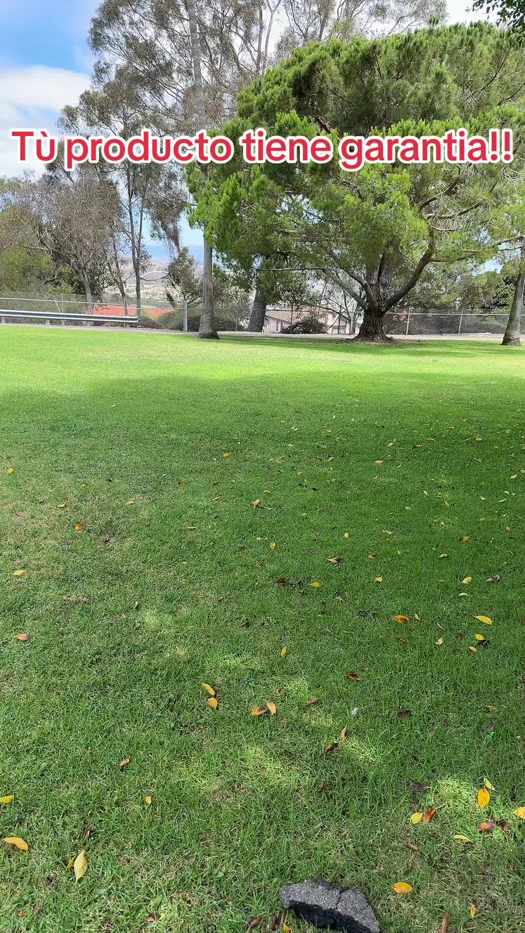 @DonLoreto112