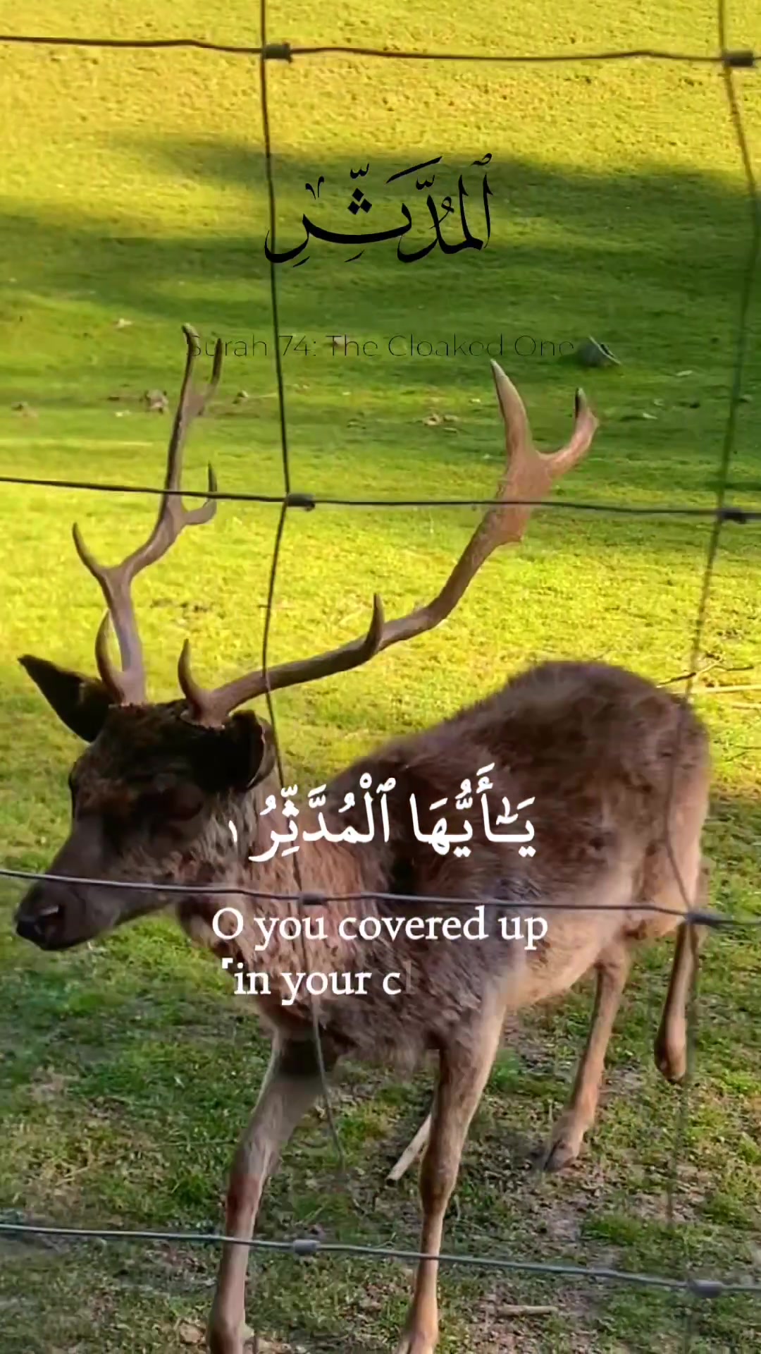@Sakha