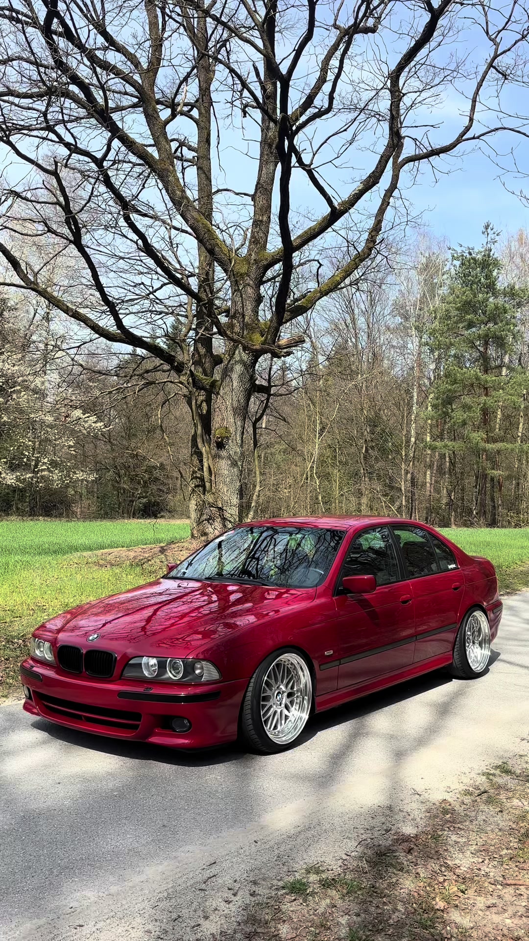 @Gienas e39