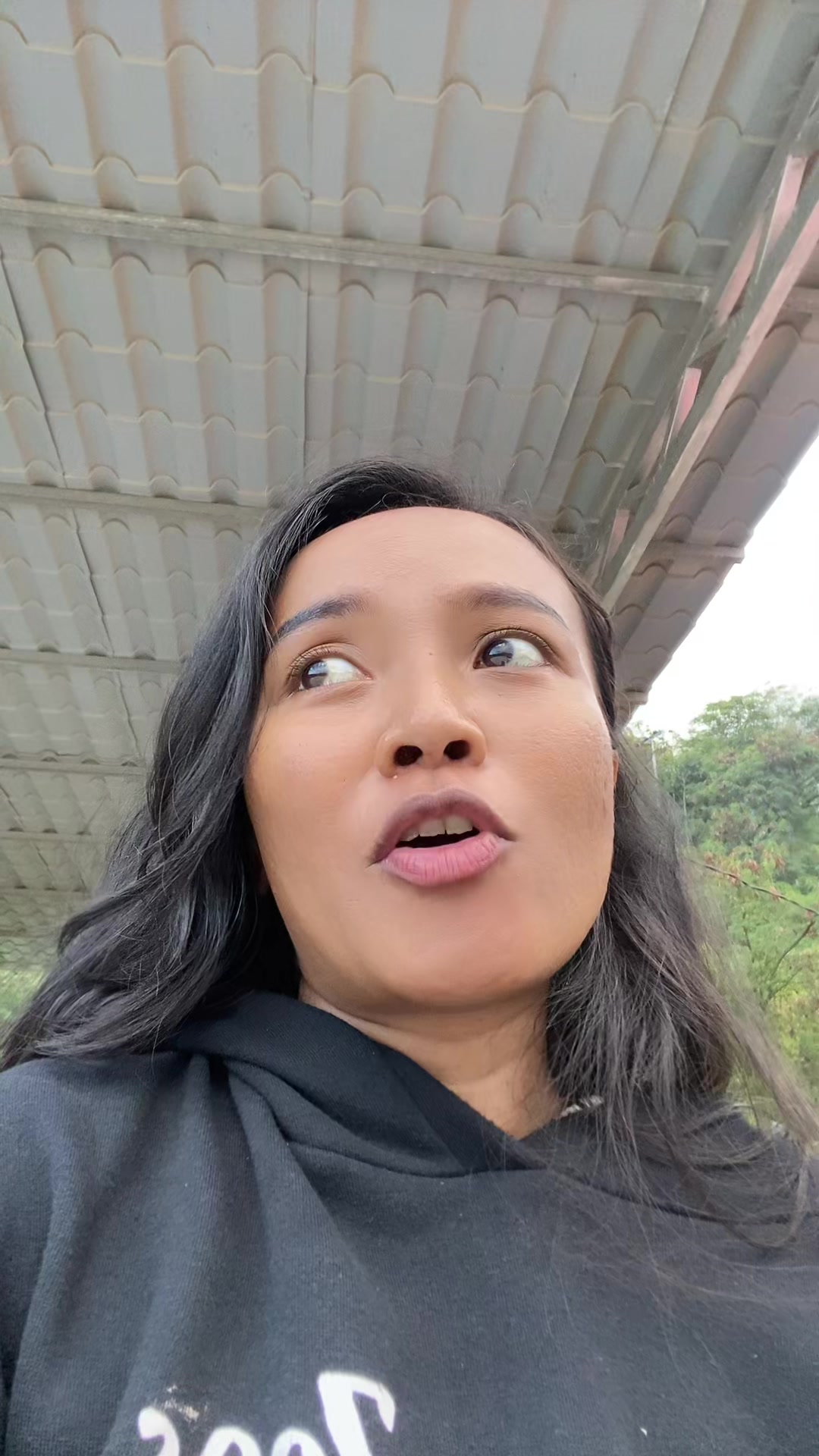 @ViviLau