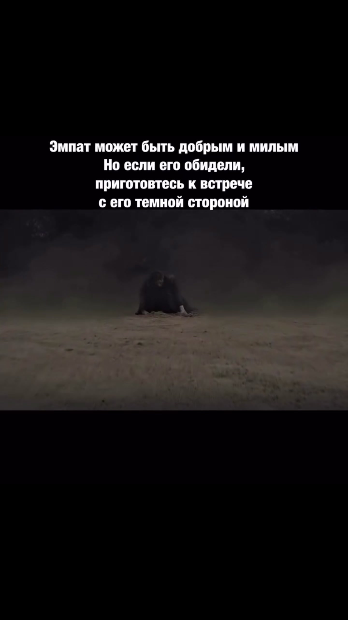 @morozova_tarot