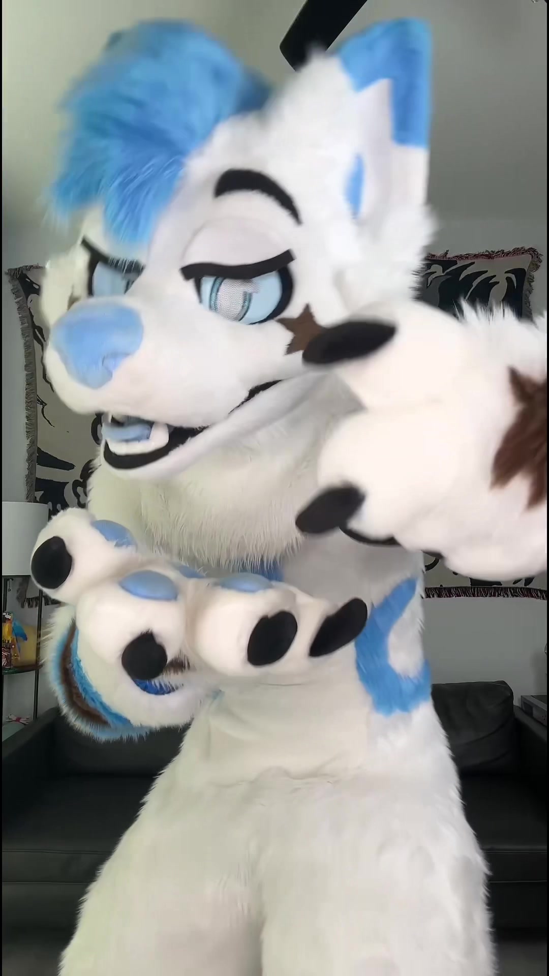 @BlueFoxNova