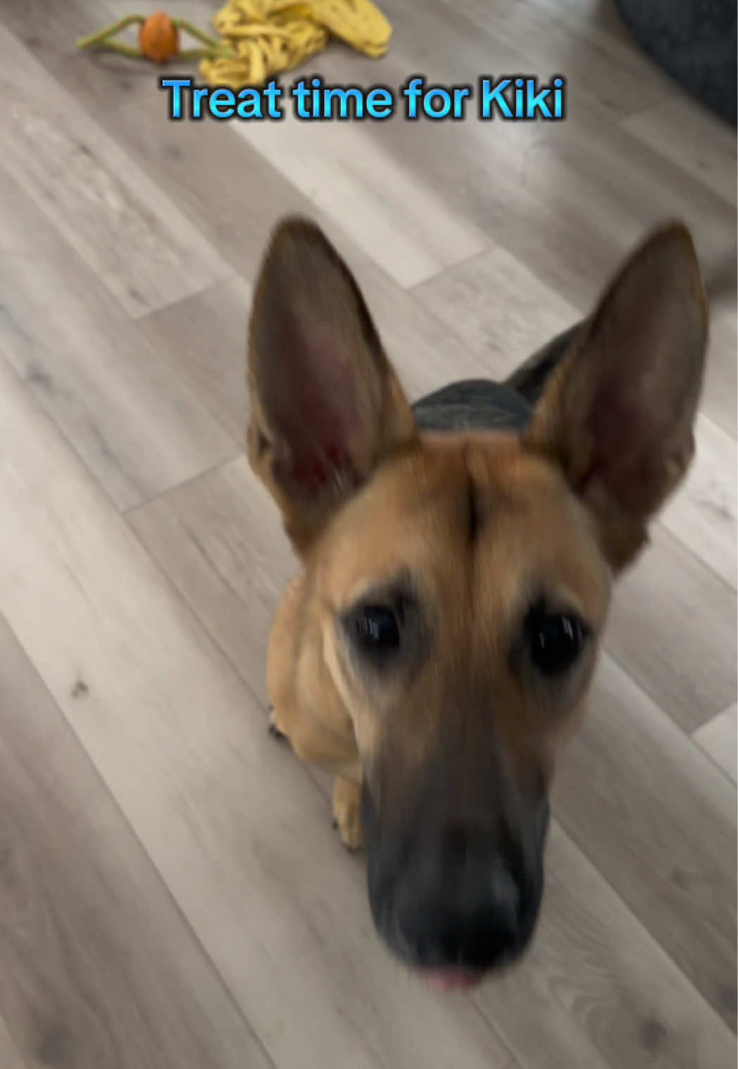 @Kiki.GSD