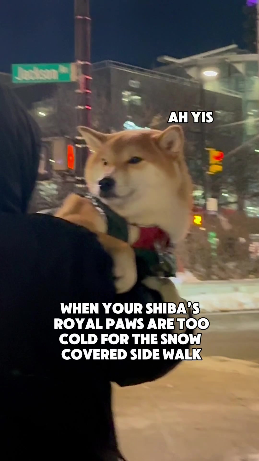 @Levi Shiberman