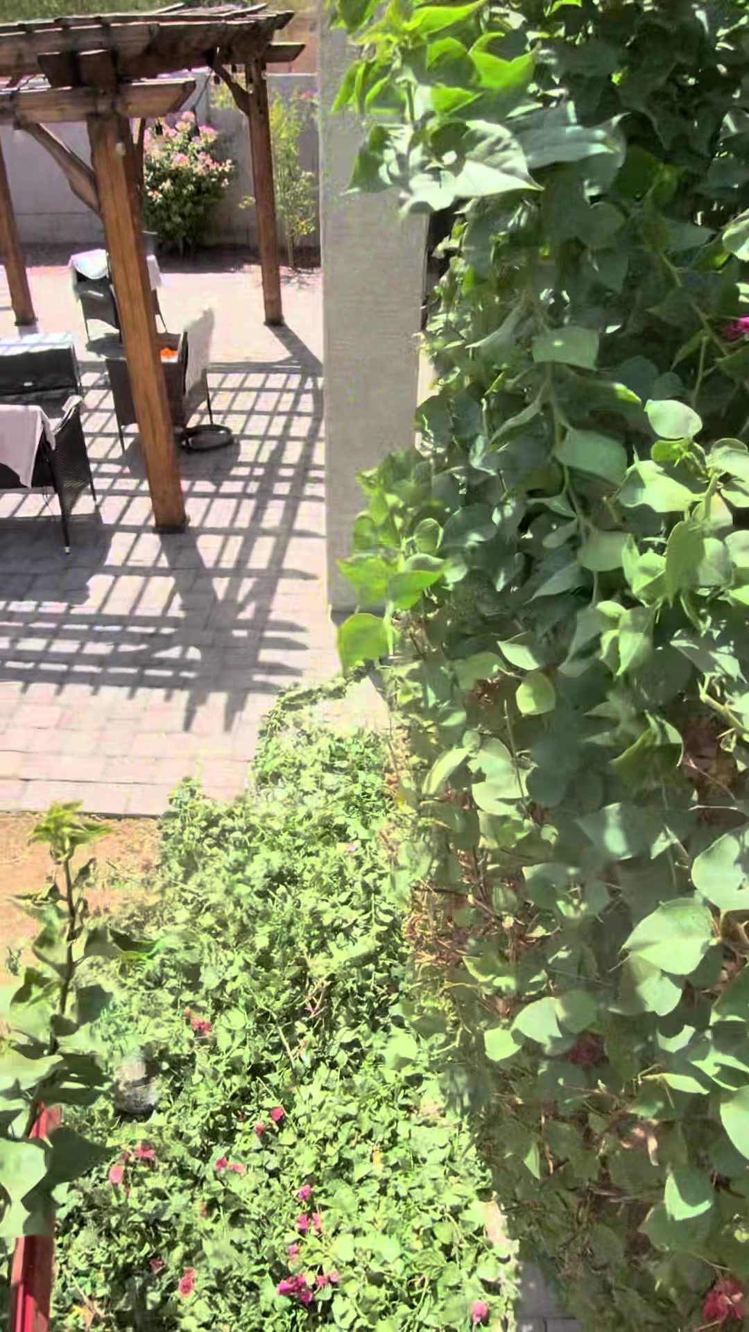 @landscaping