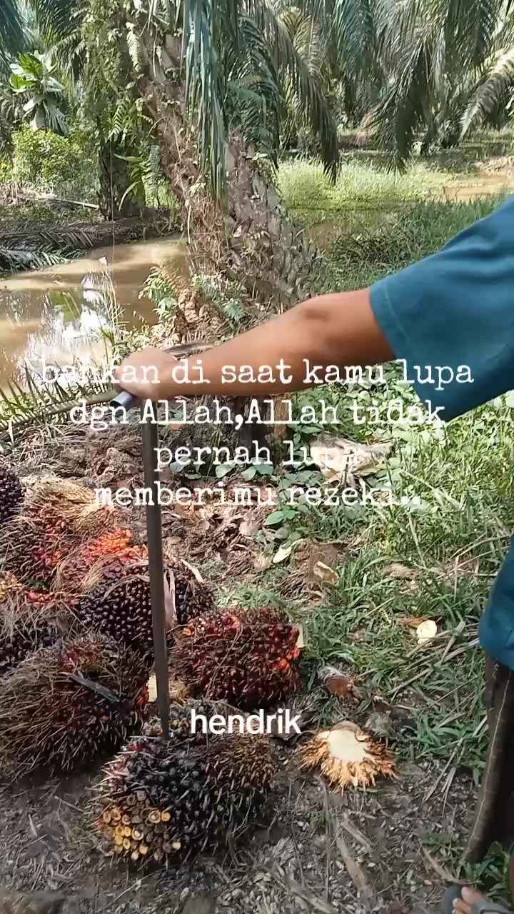 @Hendri Pardede