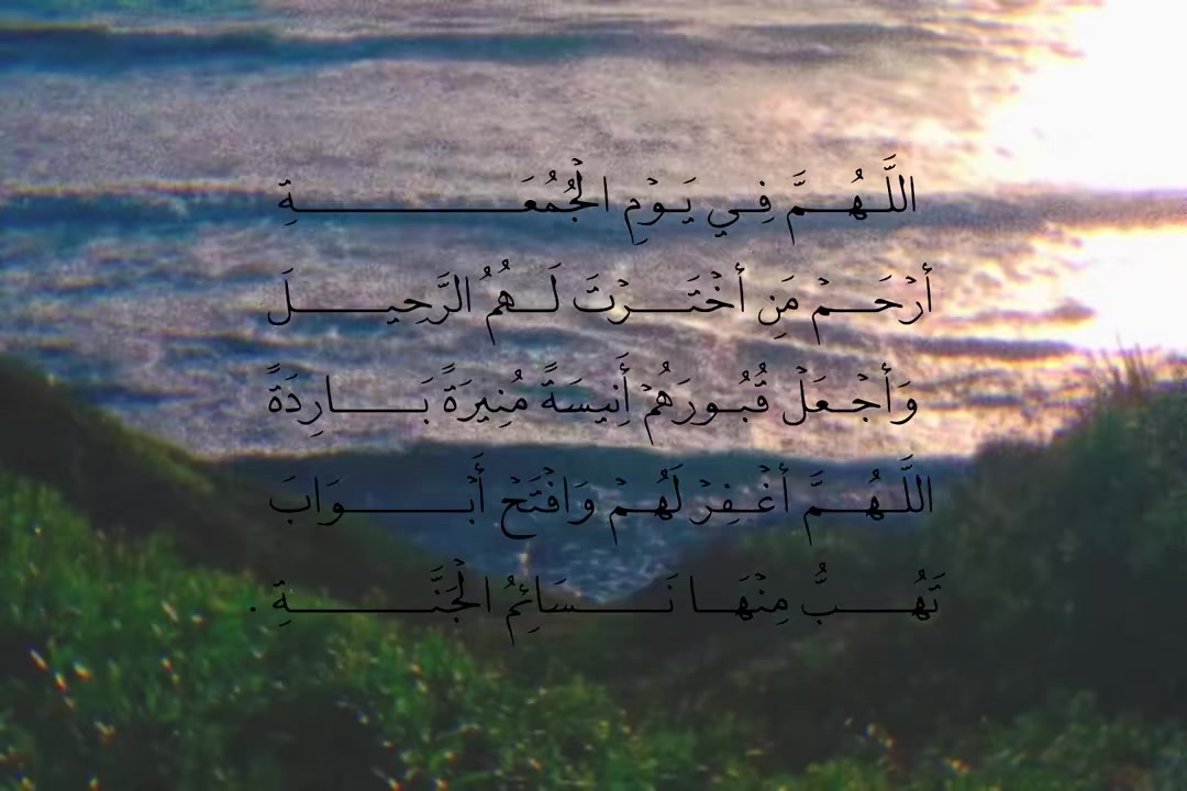 @T1X