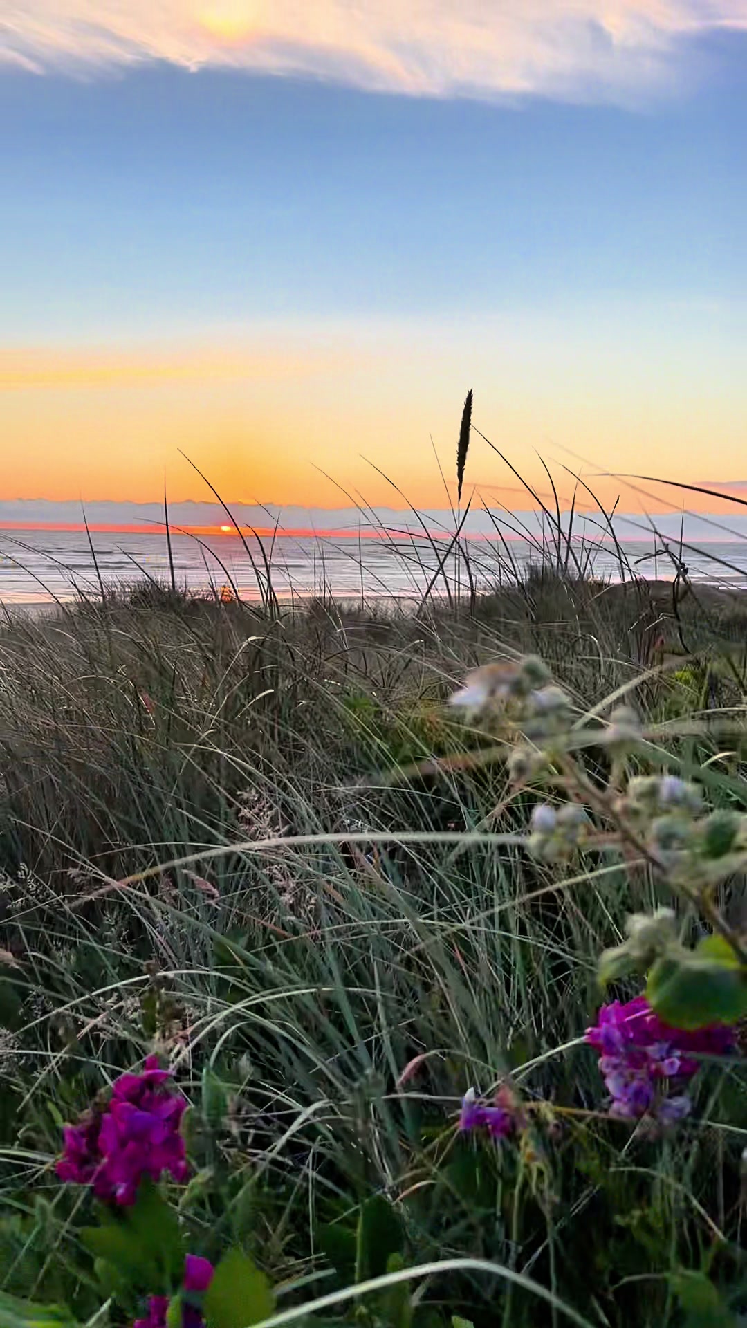 @LadyOfThePNW