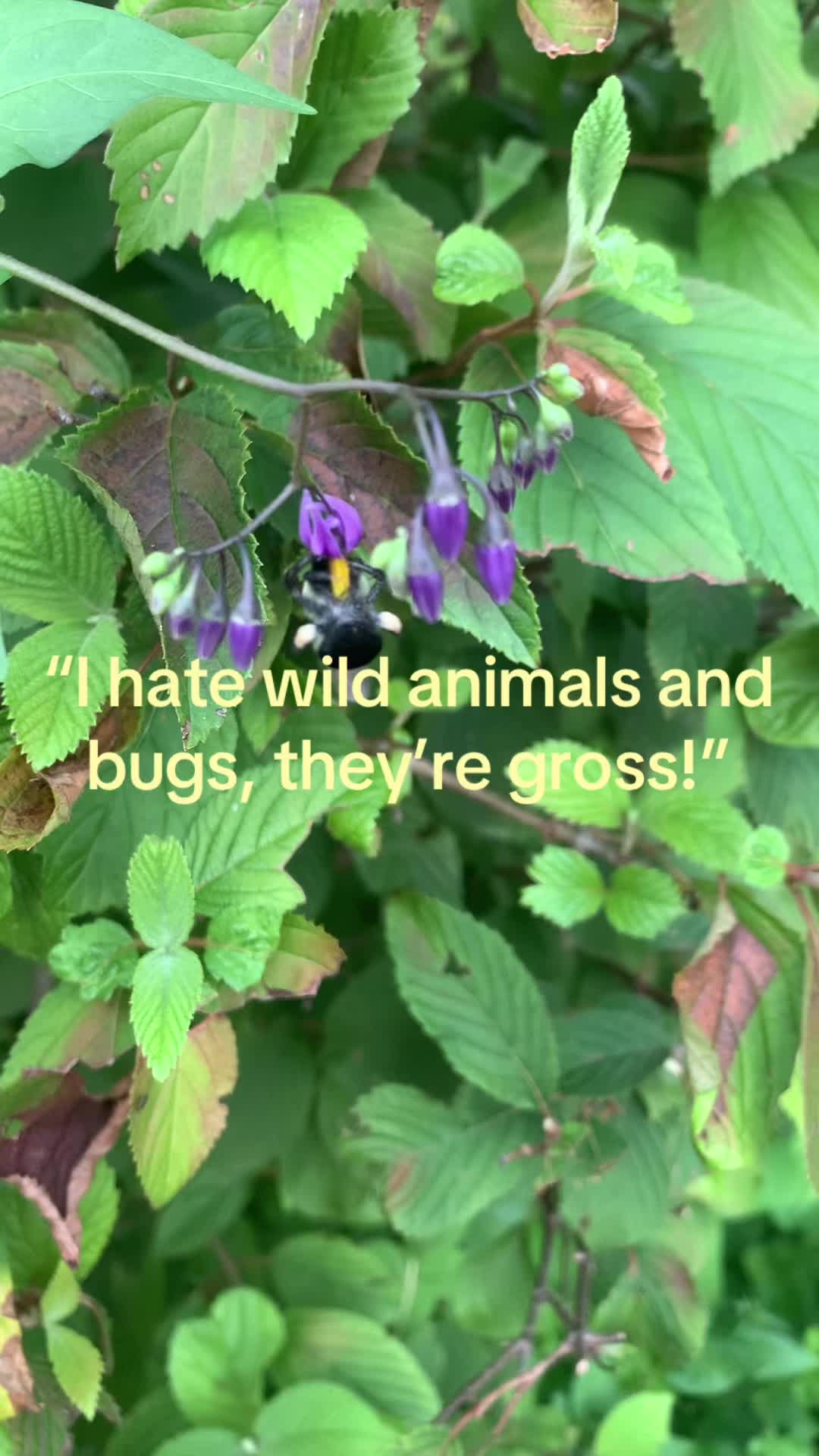 @Lyla 🧟&zwj;♀️