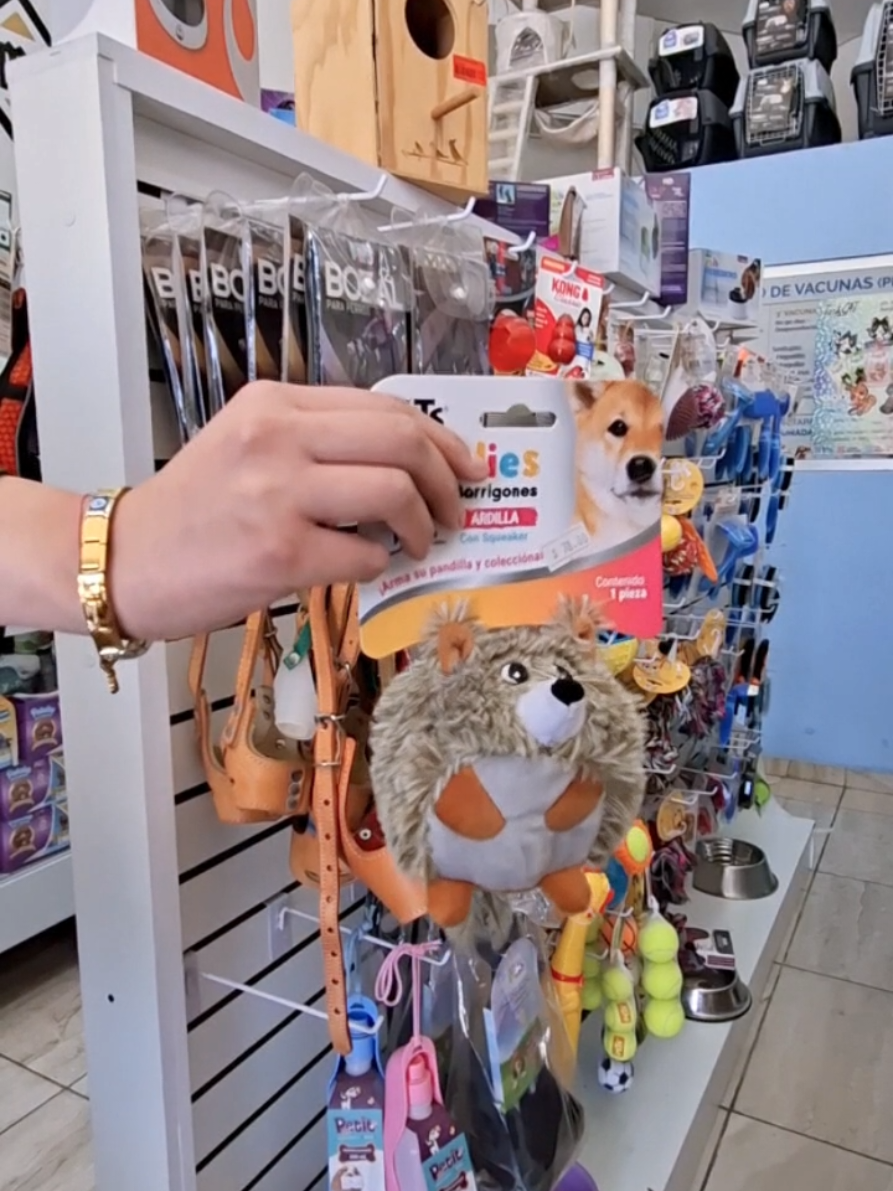 @Perrunos Veterinaria