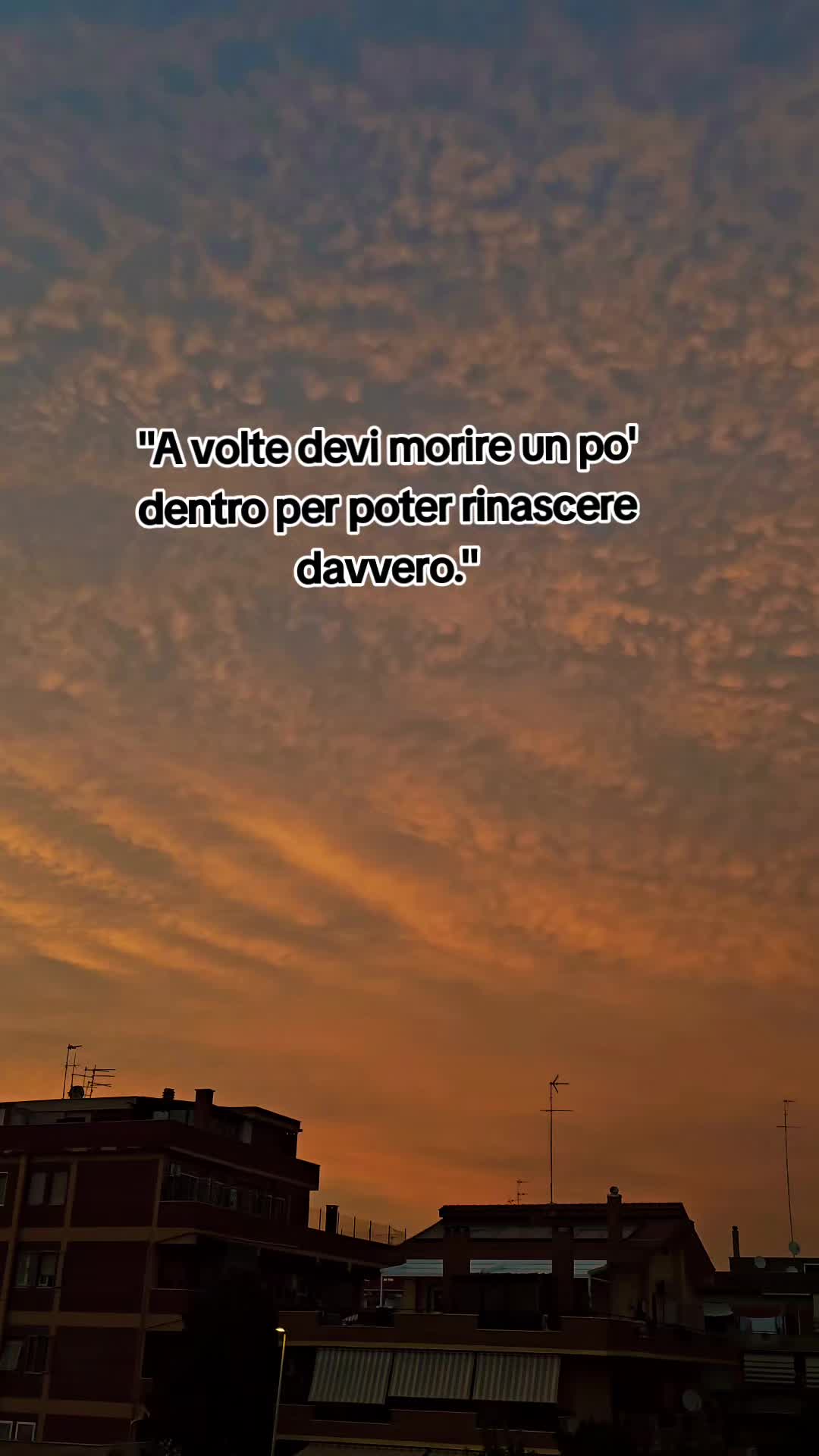 @alina roman