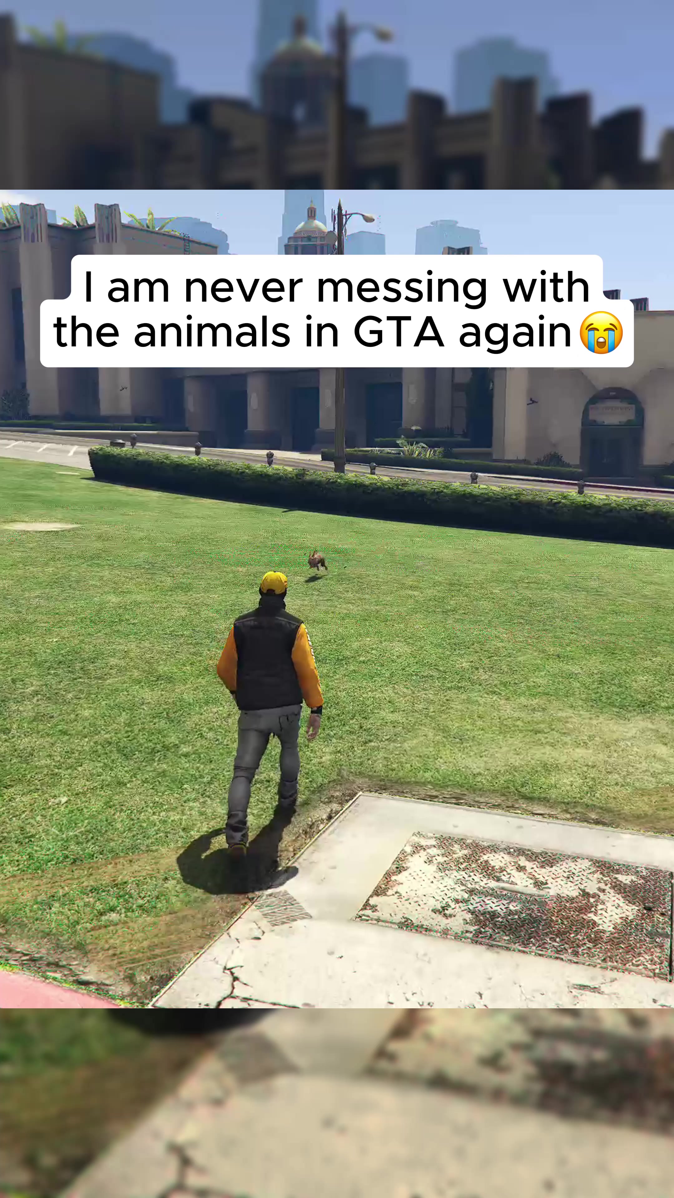 @hencouzi