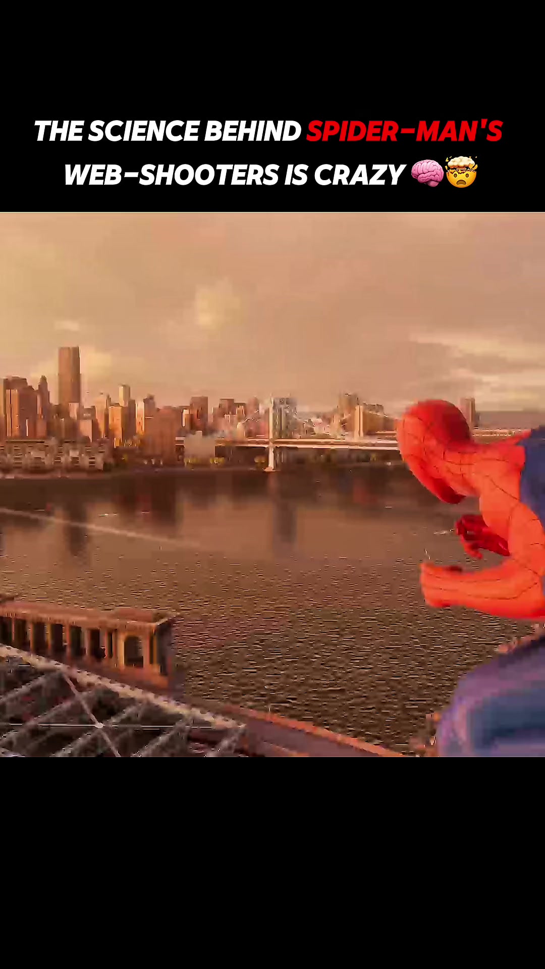 @Spidey Shorts
