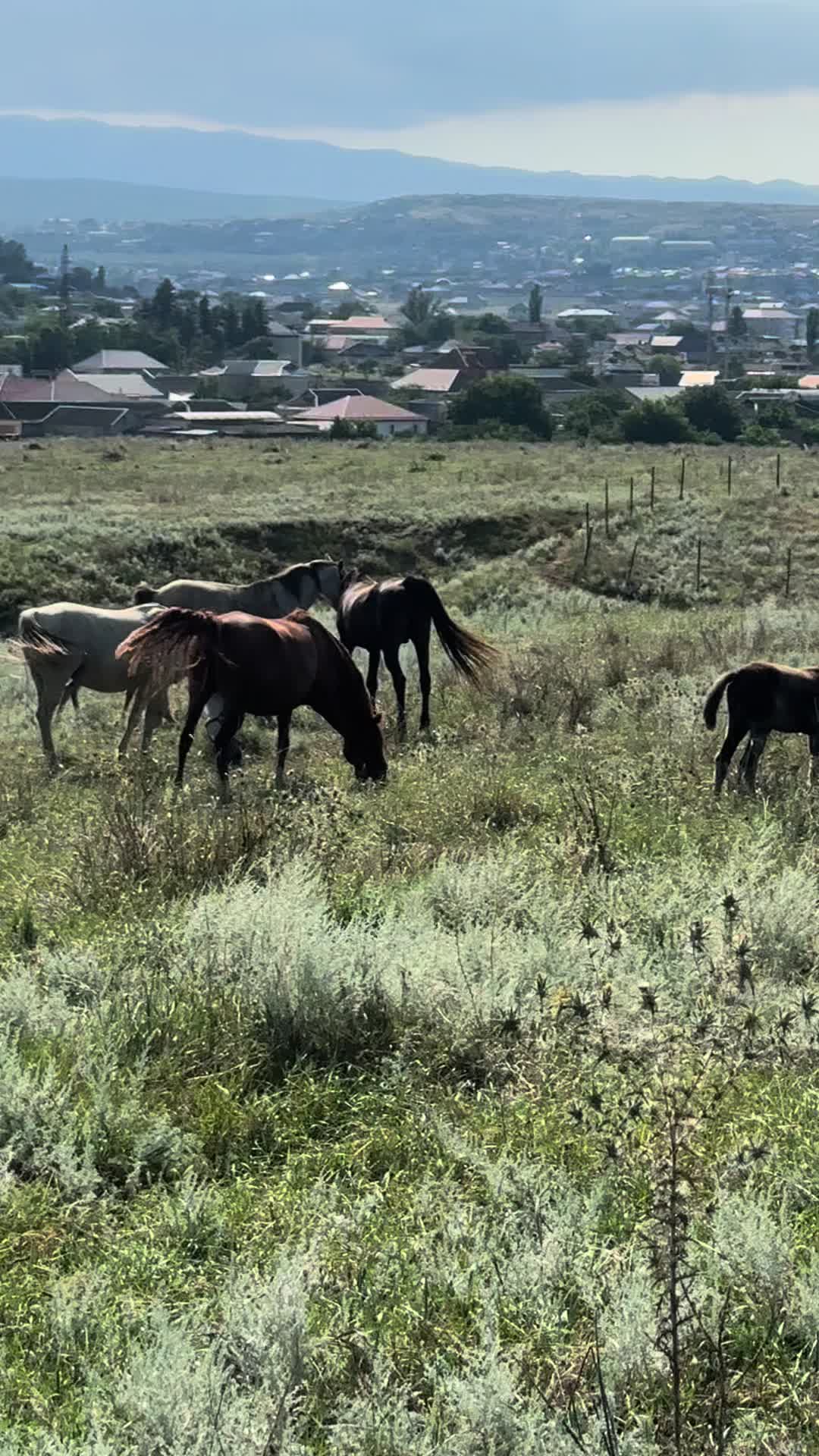 @MakvinStud