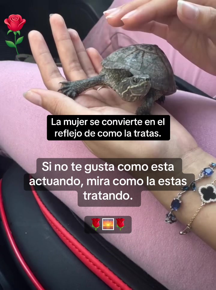 @reflexionesyfraseslocas