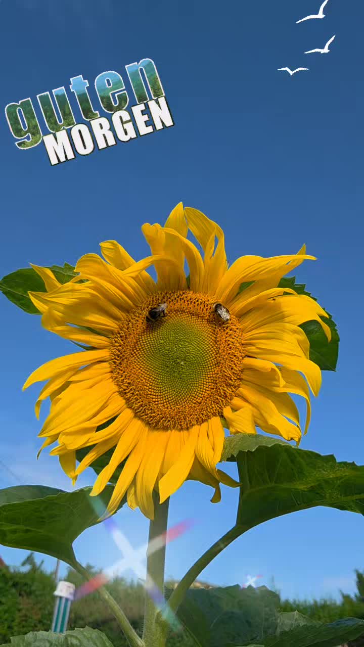 @Bea ☀️